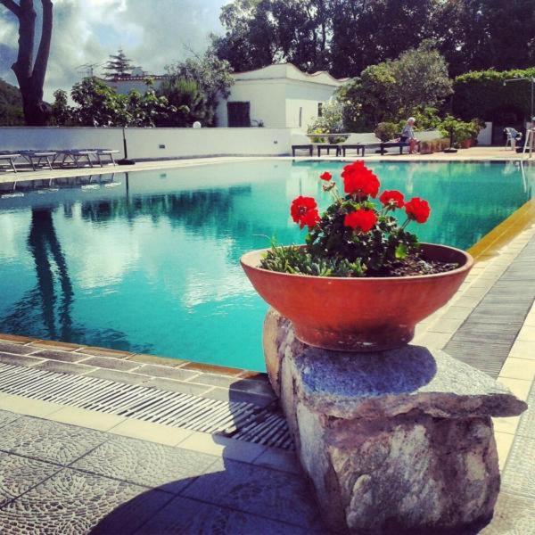 Hotel Al Bosco Forio di Ischia المظهر الخارجي الصورة