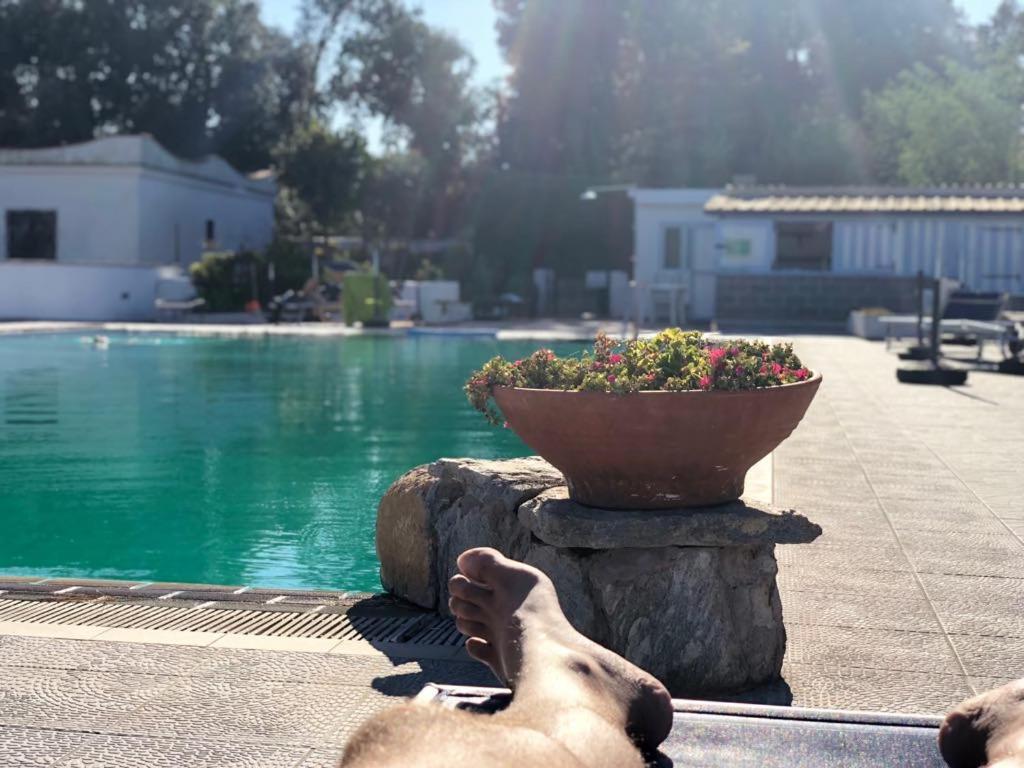 Hotel Al Bosco Forio di Ischia المظهر الخارجي الصورة