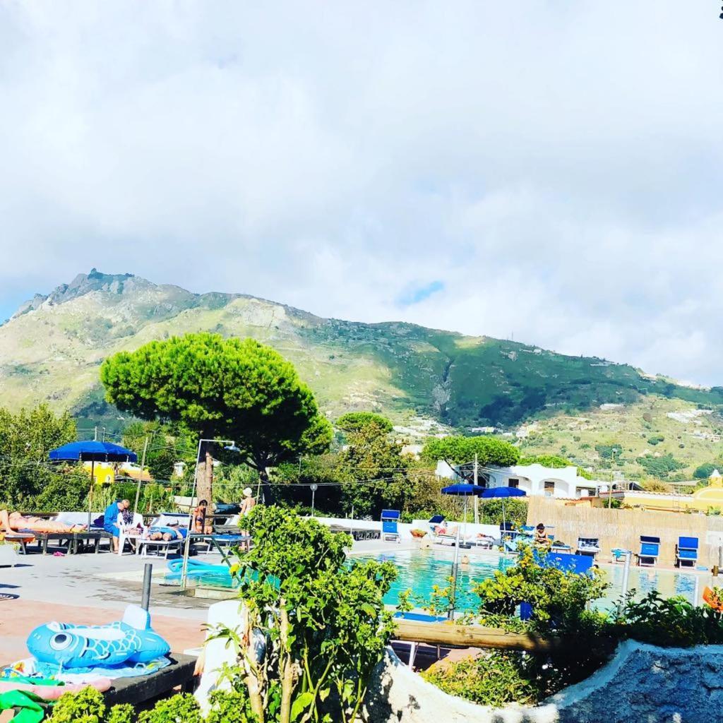 Hotel Al Bosco Forio di Ischia المظهر الخارجي الصورة